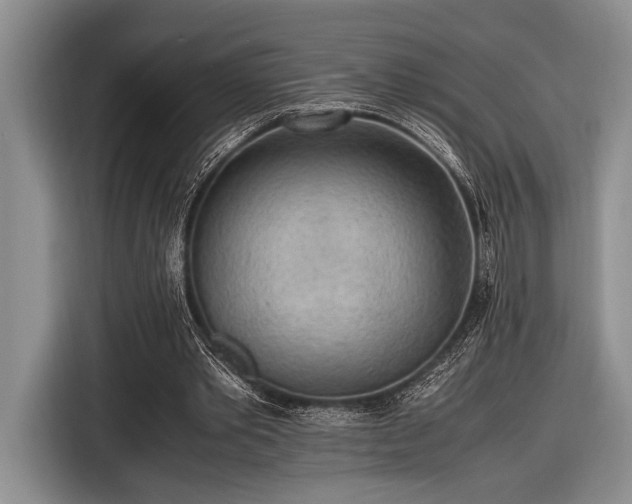 X0000116580389200912171528