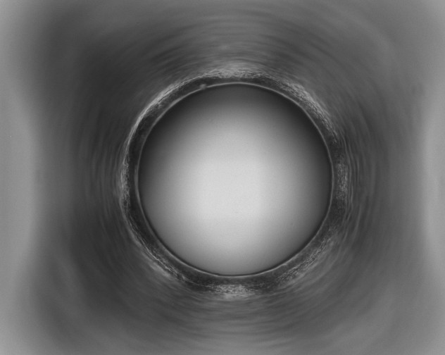 X0000116580392200912171528