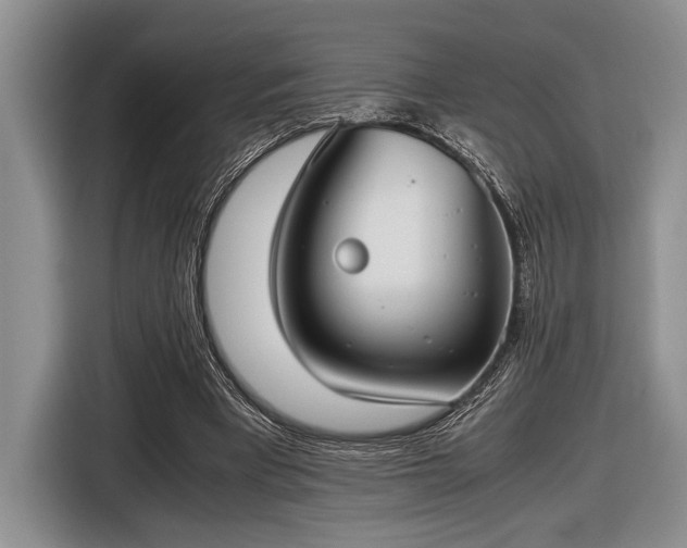 X0000116580393200912171528