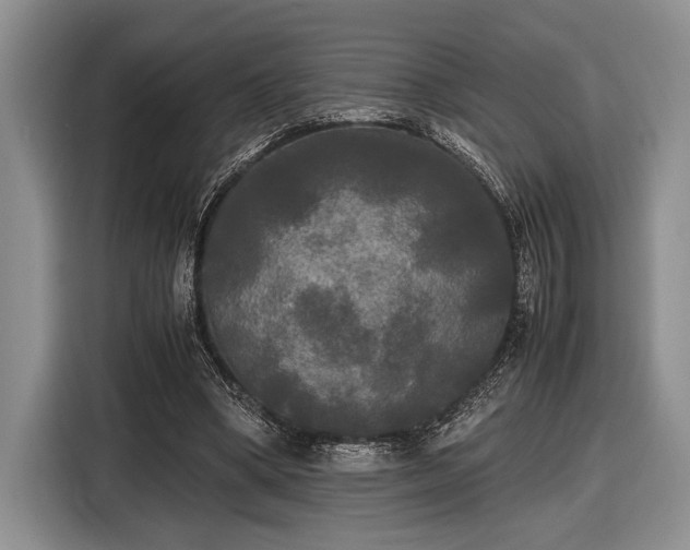 X0000116580394200912171528