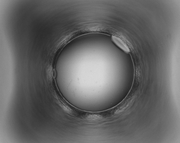 X0000116580397200912171528