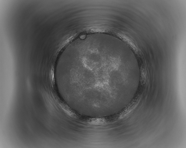 X0000116580398200912171528