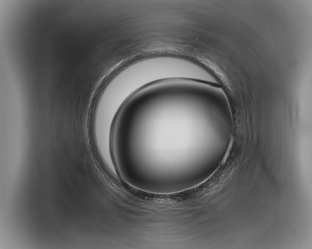 X0000116580399200912171528