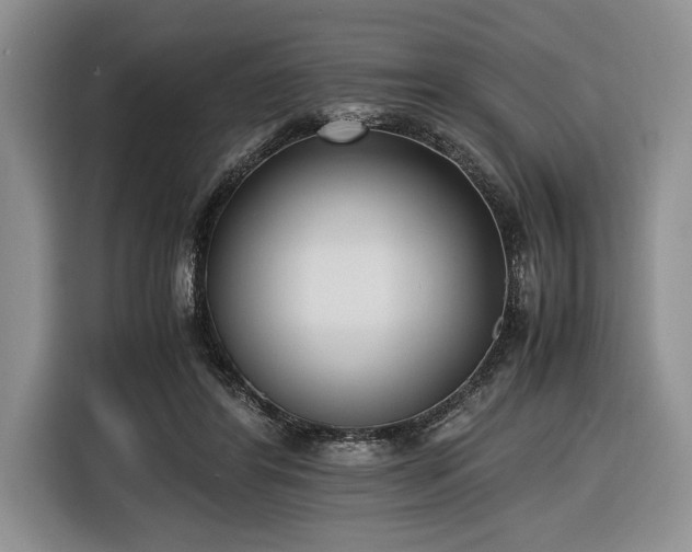 X0000116580404200912171528