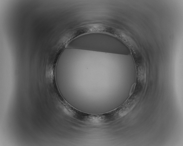 X0000116580405200912171528