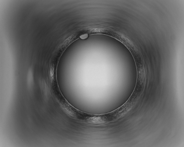 X0000116580406200912171528