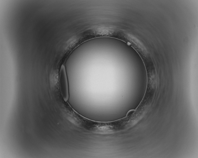 X0000116580407200912171528