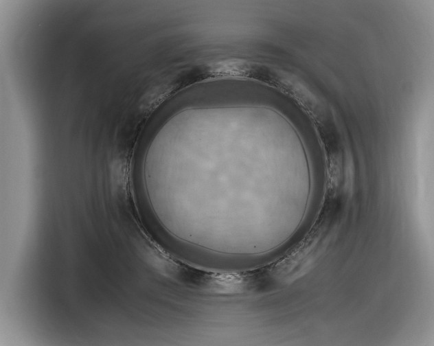 X0000116580409200912171528