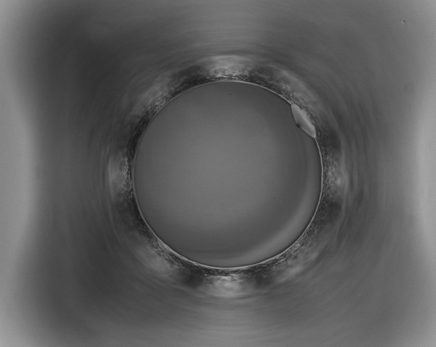 X0000116580411200912171528