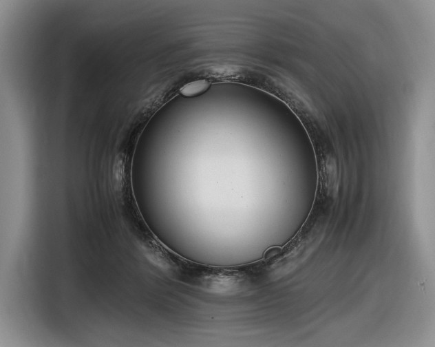 X0000116580412200912171528