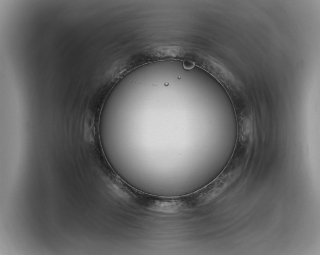 X0000116580414200912171528