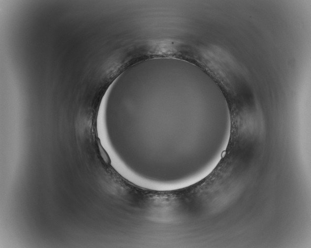 X0000116580415200912171528