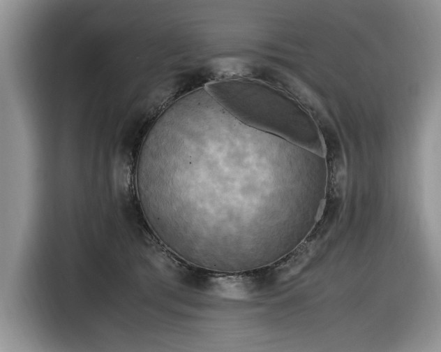 X0000116580417200912171528