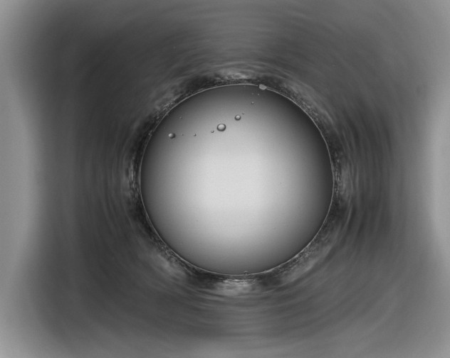 X0000116580418200912171528