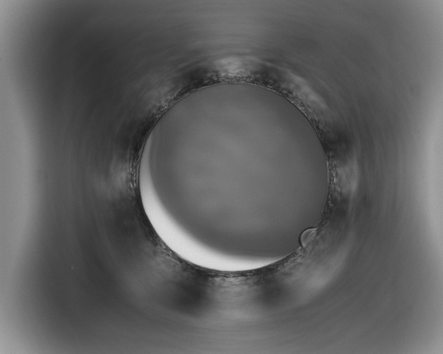 X0000116580419200912171528