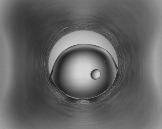 X0000116580421200912171527