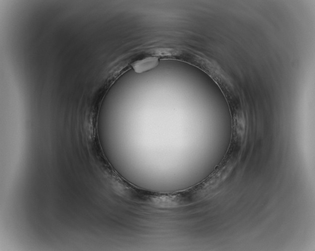 X0000116580422200912171527