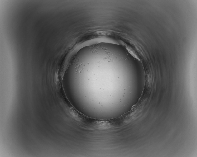 X0000116580424200912171527