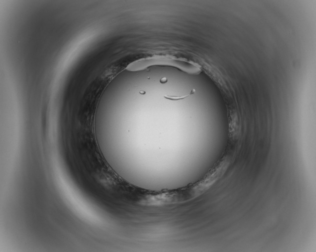 X0000116580430200912171527