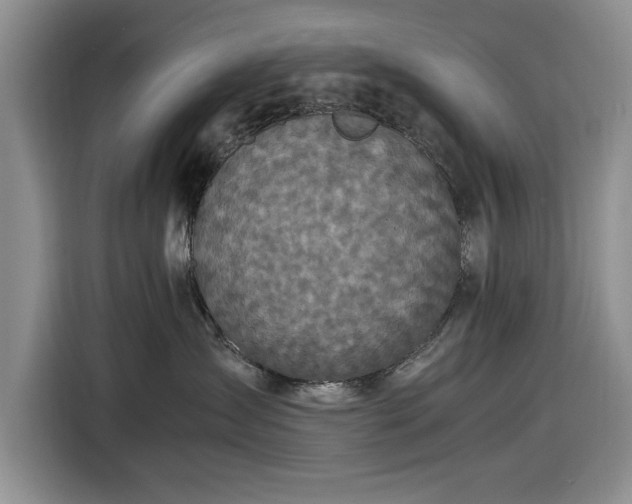 X0000116580431200912171527