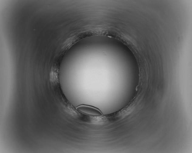 X0000116580432200912171527