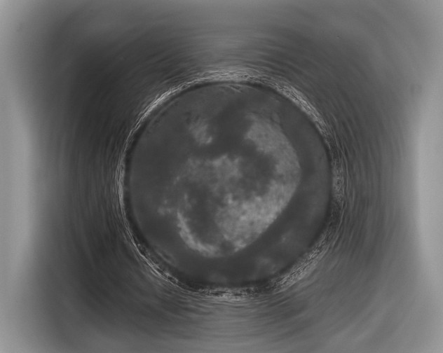 X0000116580434200912171527