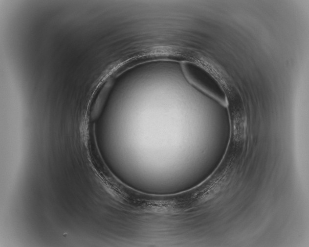 X0000116580436200912171527