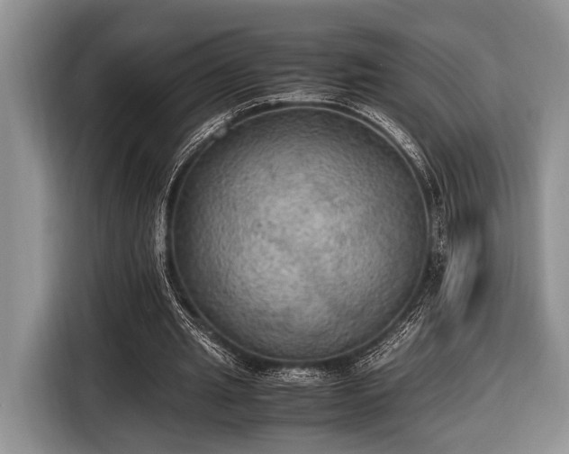 X0000116580437200912171527