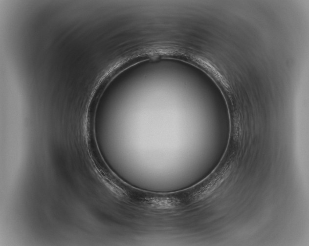 X0000116580439200912171527