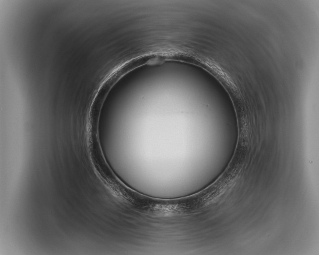 X0000116580440200912171527