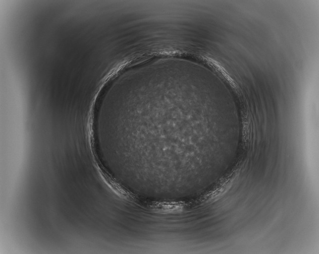 X0000116580443200912171527