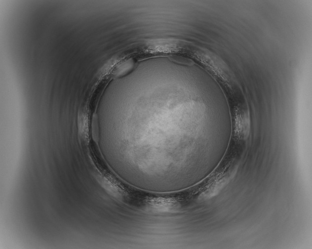 X0000116580444200912171527