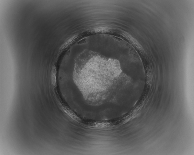 X0000116580446200912171527