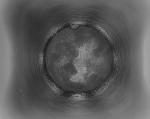 X0000116580447200912171527