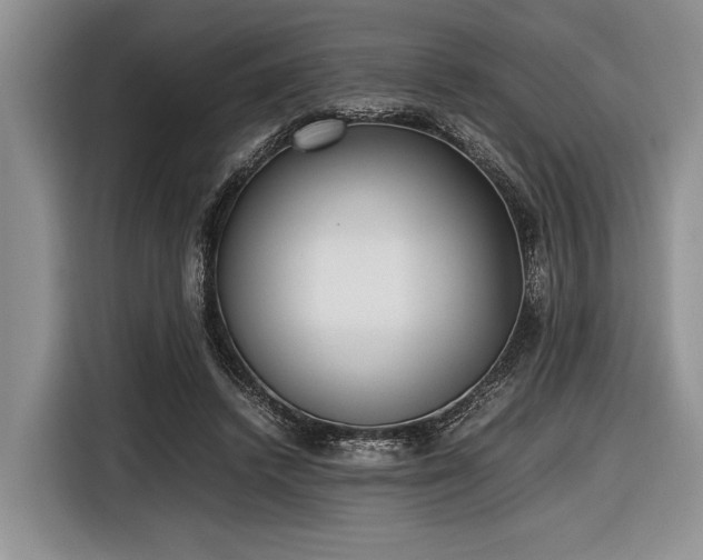 X0000116580448200912171527