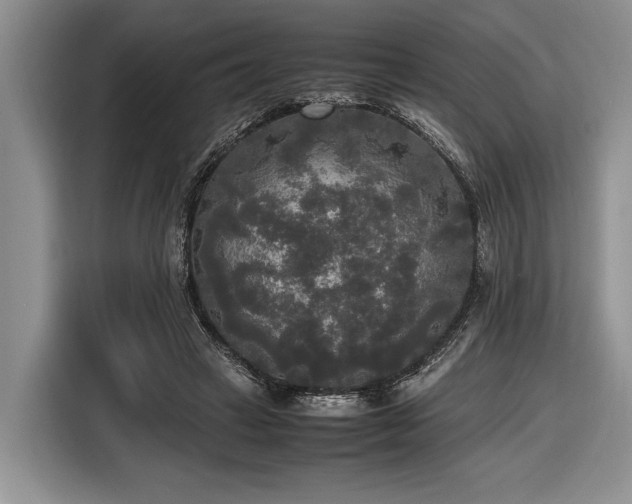 X0000116580449200912171527