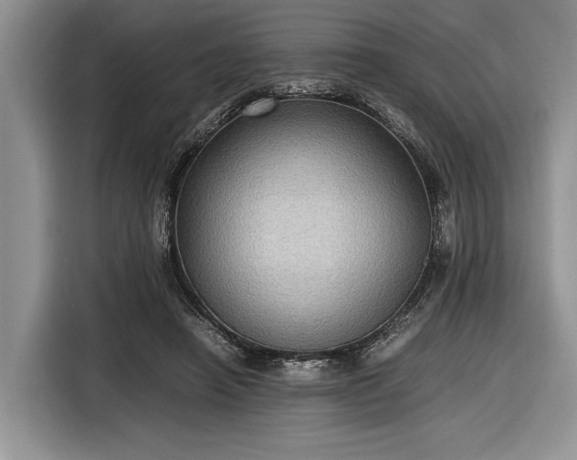 X0000116580450200912171527