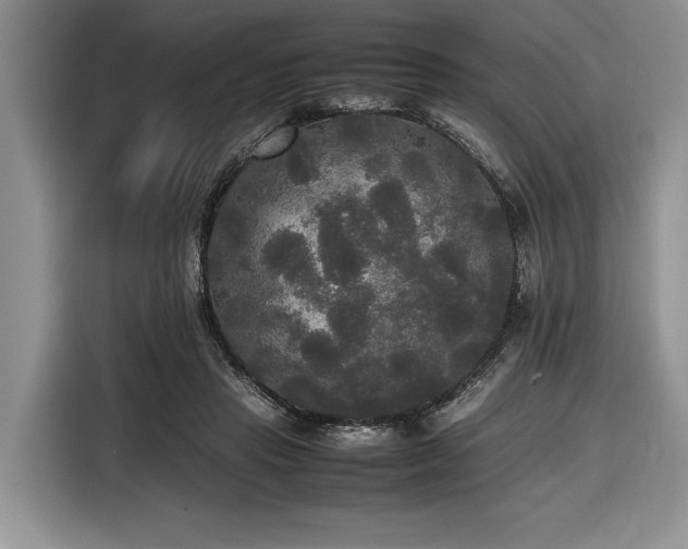 X0000116580453200912171527