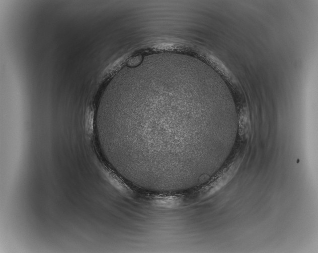 X0000116580454200912171527