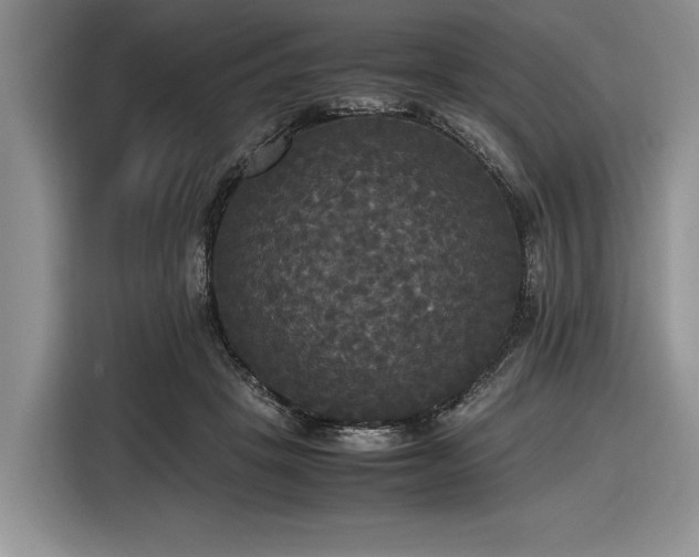 X0000116580457200912171527