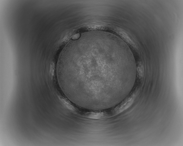 X0000116580458200912171527