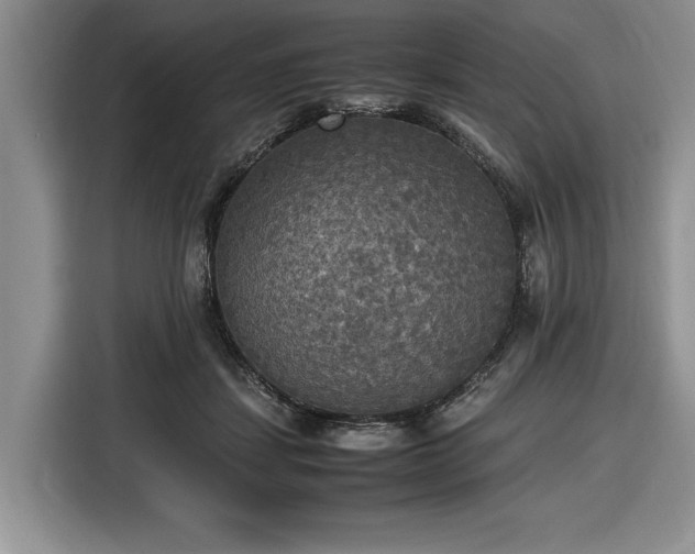 X0000116580459200912171527