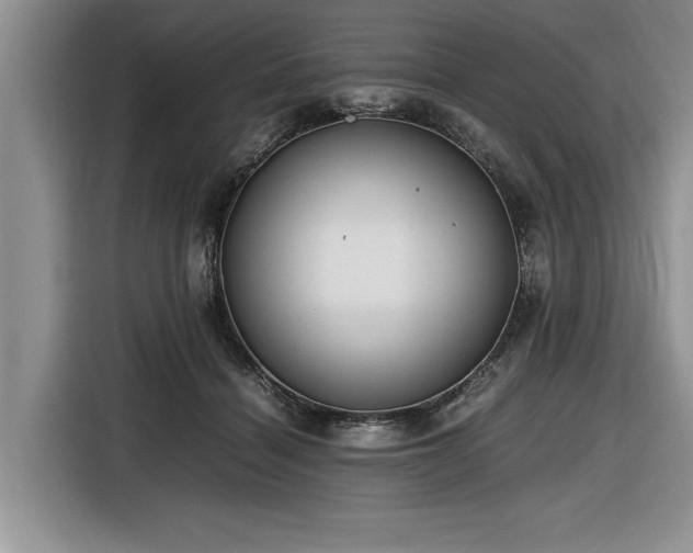 X0000116580460200912171527