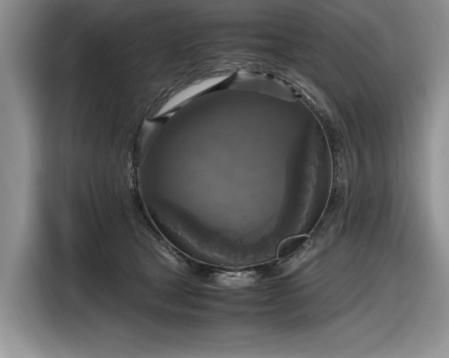 X0000116580465200912171527