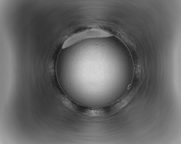 X0000116580466200912171527