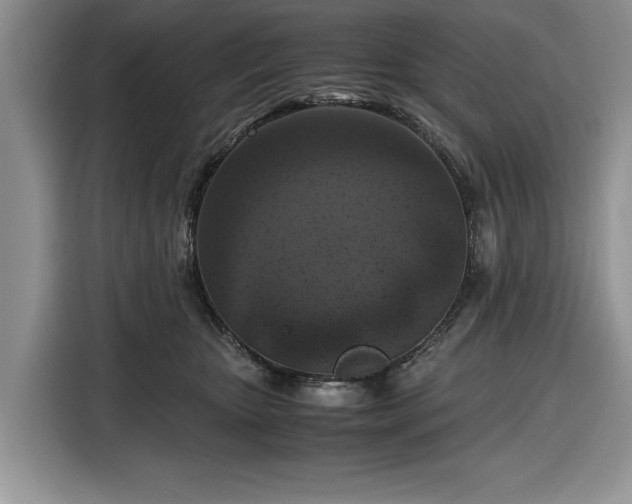 X0000116580467200912171527