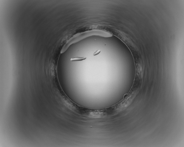 X0000116580470200912171527