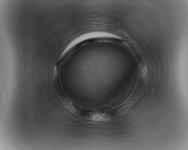 X0000116580471200912171527