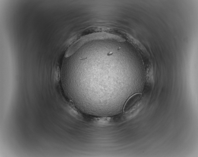 X0000116580474200912171527