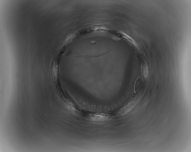 X0000116580475200912171527